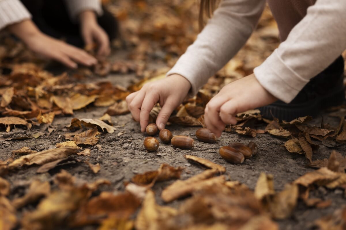 Manos de un niño recogiendo castañas del suelo entre hojas secas de otoño